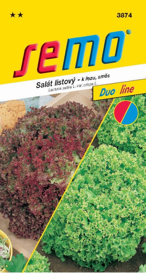 Salát kadeřavý k řezu - směs typu Lolo 0,6g - série DUO - Obrázek 1