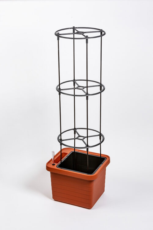 Opora pro pěstování - Berberis UNO + DUO + TRIO černý recyklát - Obrázek 2
