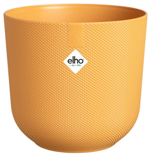 Obal Jazz - amber yellow 26 cm - Obrázek 3
