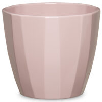 Obal 939 Rose Elegance lesk 10