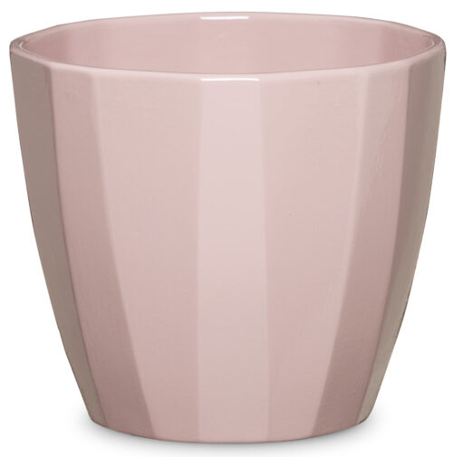 Obal 939 Rose Elegance lesk 10 - Obrázek 1