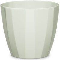 Obal 939 Green Elegance lesk 10