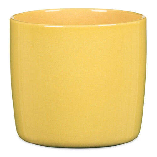 Obal 900 Solare lesk 13 - Obrázek 3