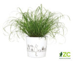 Obal 870 Catview lesk 13