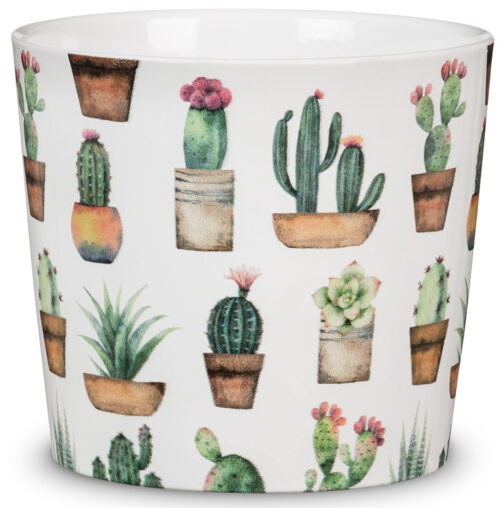 Obal 870 Cactus Garden 07 - Obrázek 3