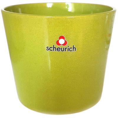 Obal 870 Avocado lesk 12