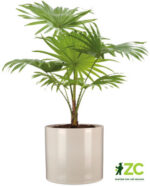 Obal 828 Sesame lesk 16