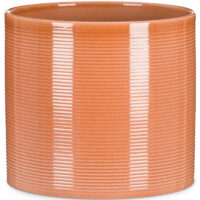 Obal 828 Papaya lesk 12