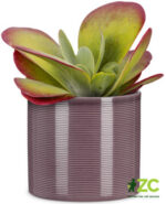 Obal 828 Aubergine lesk 12