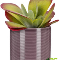 Obal 828 Aubergine lesk 12