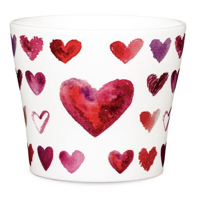 Obal 808 Heartbeat lesk 11