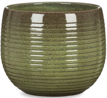 Obal 744 Wild Jungle lesk 16