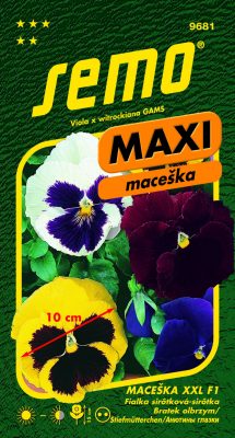 Maceška zahradní - XXL F1 15s - série MAXI