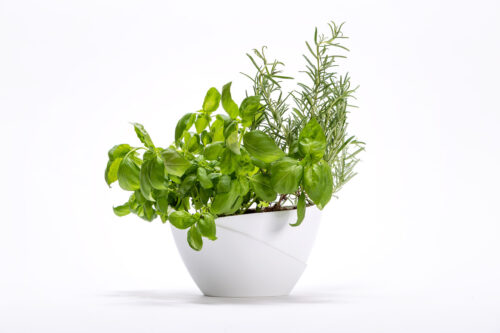 Květináč samozavlažovací Doppio - bílá 14 cm - Obrázek 2
