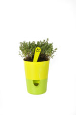 Květináč Rosmarin - žlutá + zelená 11 cm - Obrázek 2