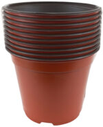 Kontejner Desch 12 cm - terakota 10 ks - Obrázek 3