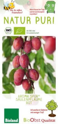 Slivoň sloupovitá 'Aroma Spur'®-červená