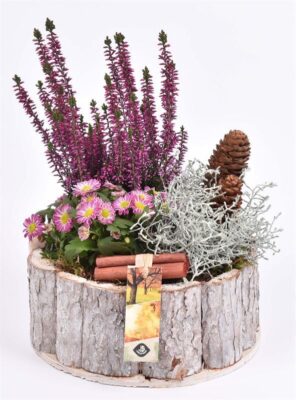 Dekorace podzim - dřevo