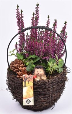 Dekorace - košík, proutí
