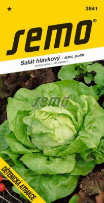 Semena Semo Salát Dětenická atrakce - letní pole 0,6g