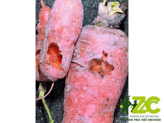 Parazitické hlístice proti krtonožkám, osenicím a tiplicím(5 milionů) - Nemastar