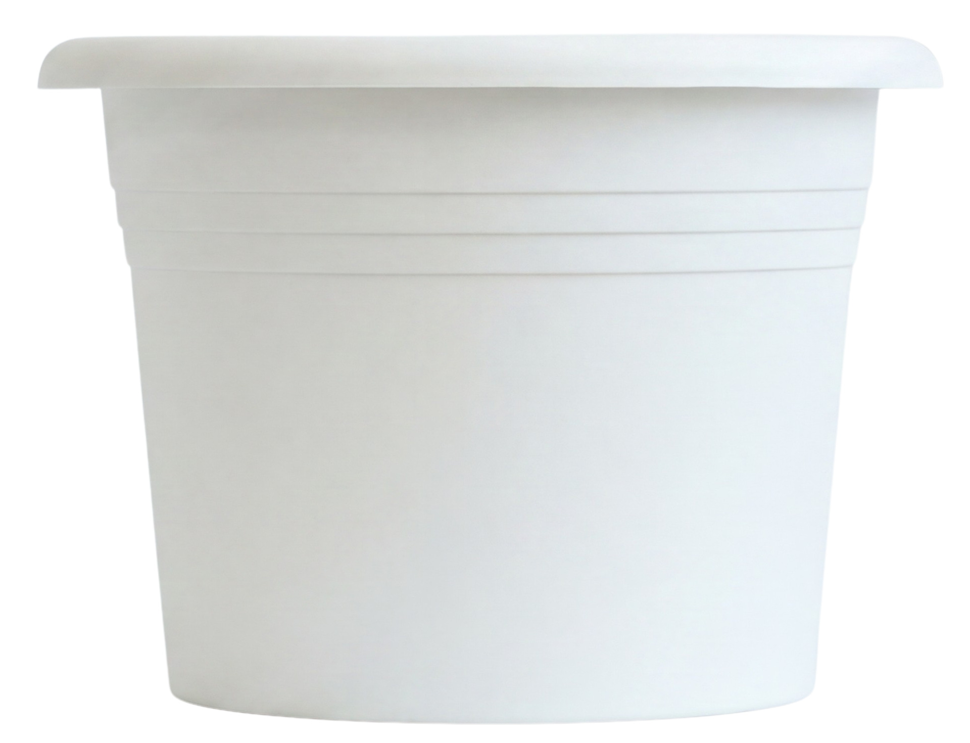 Obal Narcis   bílý 11 cm