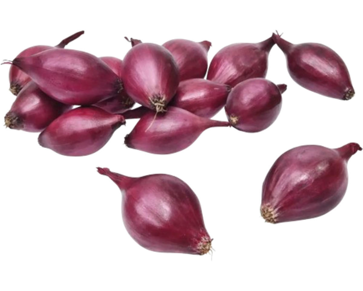 Sazečka - Akado červená ozimá 250 g (8-16mm) /cena bez slev/