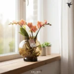 Orchidej 'Kolibri' hydroponická váza 16cm Bowl - Obrázek 2